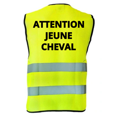 Gilet de sécurité pour cavalier - "Attention jeune cheval"